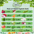 Winter Vegetable Seeds Pack of 10. 