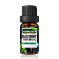 Herbology Black Currant Fragrance Oil - Candle Making Scent - Home Diffuser Fragrance Oil - Cosmetic Making ,Lip Balm,Soap making Fragrance Oil. 