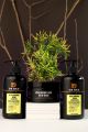 "DR MED Hyaluronic Acid Hair Care Trio: Shampoo, Conditioner, and Mask for Hydration and Renewal" (Paraben free, sulphate free, salt free, silicon free). 