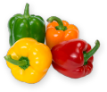 4 Different Packets Capsicum Varieties Hybrid F1 Seeds. 