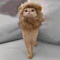 Pet Cat Costumes Mane Costume for Cat for Fancy Dress Christmas Party M. 