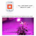 Full Spectrum Led Grow Lights for plants 20w DOB. 