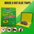 Mouse and Rat Trap Book - Rat Catcher Glue Board. 