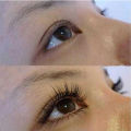 Powerful Beauty Makeup 4ml Eyelash Eyelashes Growth Treatments Liquid Serum Fast Enhance Eye Lash Longer and Thicker. 