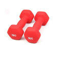 Yoga Pair Matte Dumbbells Set Ladies Training Fitness Home Gym - 2KG. 