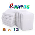 1 Piece Of 8X12 Inches Canvas For Painting - 8 x 12 Canvas Board. 