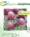 Gomphrena Dark Rose. 