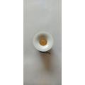COB Light 1.5 inch. 