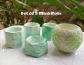 Set of 5 Mini Decorative Flower Pots for Home Office and Party Decoration, Artificial Flower Pots, Decorative Room Items, Fancy Home Decor by JangoMango Store. 