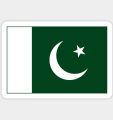 Pack of 50- 14 august independence day Stickers for Girls Sticker For Boys Stickers - Azadi Day Sticker Pakistan Day sticker For Laptop & Mobile Sticker size 3 Inch x 3 Inch or 2 Inch X 2 Inch Each Sticker Size. 