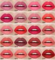 MISS ROSE High Pigment 2 In 1 Lip Liner + Lipstick. 