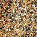 11 Types of Seed Mix Birds Food (1 KG). 