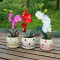 Mix 3 Colors Orchid Flower Plant Seeds. 