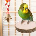 3 pack set of Bird Perches Natural Wood Parrot Perch for Parakeet Cage Accessories Parakeet Toys for Parrots, Parakeets Cockatiels, Conures, Macaws, Love Birds, Finches. 