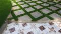 Artificial Grass 20 Mm 6 FEET width and 6 feet length ( multiple sizes ). 