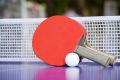 Ping Pong Paddles Quality Dynamic 86000 ping pong Tennis Rackets 2 Ping Pong Bats Long Handle Ping Pong Racket Set Training Accessories Racquet Bundle Kit with 3 Balls For Both Indoor and Outdoor. 