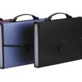 Expanding Bag - F/C Size - 12 Pockets. 