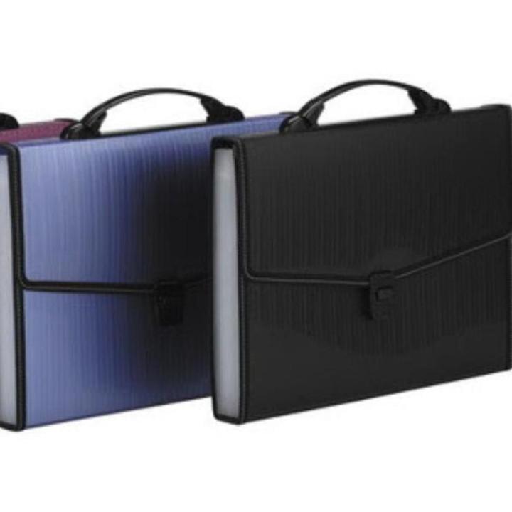 Expanding Bag - F/C Size - 12 Pockets