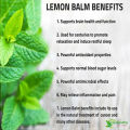 30+ Lemon Balm Herb Seeds (Melissa Officinalis) Home Kitchen Gardening Seeds. 