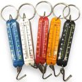 Portable Mini Weight Scale Keychain. 