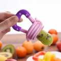 Soft Teether Chosni Quality Feeder and High Quality Nip Fruit wali chosni Baby Pacifier Fruit. 
