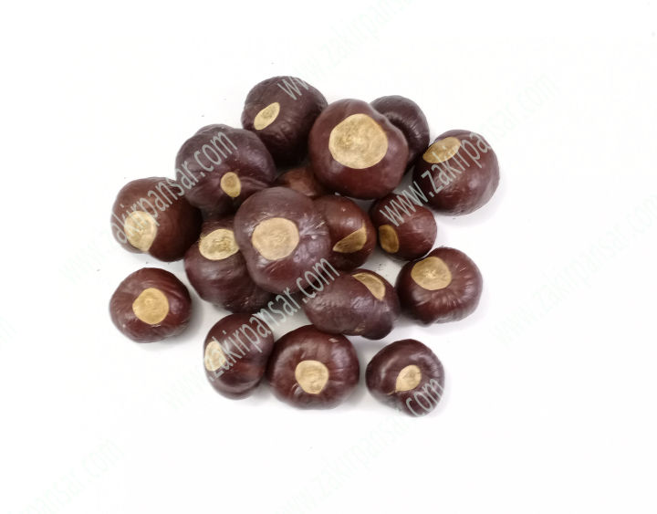Horse Chestnut Seed-100gm | Band Khorr | بندکھوڑ