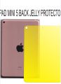 iPad mini 5 back clear jelly protection. 