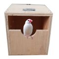 4 pack ply Wood Bird Nest Parrot Nest Breeding Hut Birds House Nest Hatching Medium Size ply wood Hut Nest boxes for java , finches , golden finch , Saffron finch,  gouldian finch. 