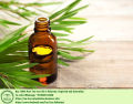 Tea Tree Oil Organic Australian Essential oil in Pakistan. 