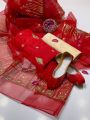 4-Piece Organza Suit with Stunning Sequence Work and Free Khussa. 