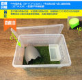 Green Gold Butterfly Bullfrog Horn Frog Package Breeding Box Professional Special Reptile Breeding Box Sponge Frog Mud. 