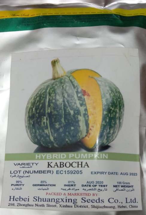 Pack%20of%20Pumpkin-%20Halwa%20Kadu-%20Seeds-%20F%201%20Hybrid%20Seeds%20-%20Image%202