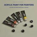 Acrylic Paint Set 12 GIORGIONE Colours (Each tube 12ml)  Art for Canvas , Wood , Ceramics and Fabrics - Craft Supplies - Beginners or Professional Artists Grade Rich Pigment Non Toxic Paint. 