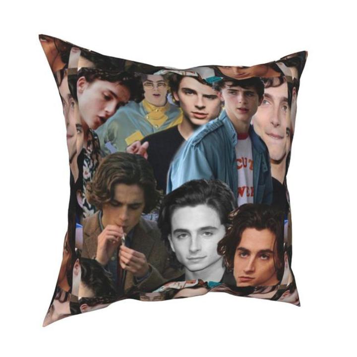 Timothee Chalamet Collage Pillowcase Cushion Cover Decorations Elio CMBYN Little Women Throw Pillow Case Cover Home 40*40cm
