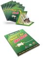 Pack of 4 Reusable Expert Catch Mouse & Rat Glue Trap چوہوں کیلۓ. 