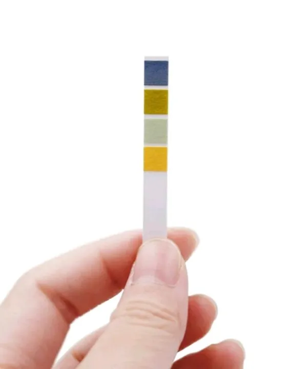 100%20Strips%201-14%20PH%20Alkaline%20Acid%20Indicator%20Paper%20Water%20Saliva%20Litmus%20Testing%20Kit%20Tester%20/%20Meter%20Tools%20-%20Image%206