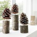 2 pecs Natural pine cone  for decoration. 