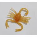 Soft Rubber Scorpion Toy for Fun, Pranks, and Gag Gifts | Realistic Bichu. 