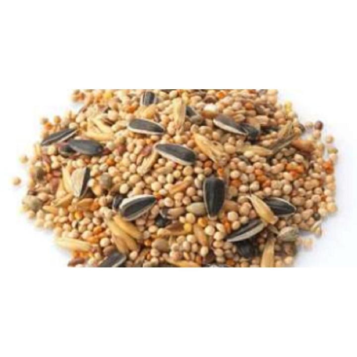 3 KG Seed Mix Feed Bajrah for Australian Birds Budgies Lovebirds and Cockatiel Parrots