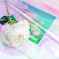 20 Pieces 59 cm x 57 cm Cellophane Wrap Paper Iridescent Film Gift Wrap Rainbow Flower Wrapping Packag Paper Come. 