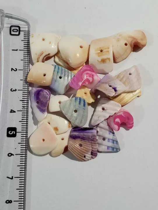 Natural%20Sea%20Shell%20Cuttings%20With%20Smooth%20Edges%20For%20DIY%20Crafts%20%7C%2040gms%20%7C%20Real%20Cut%20Shell%20Pieces%20With%20Hole%20%7C%20Beads%20Or%20Pendent%20%7C%20Ideal%20For%20DIY%20Jewelry%20Making,%20Dress%20Accessories,%20Crafting,%20And%20Home%20Decoration%20-%20Image%206