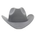 Western cowboy hats, cross-border retro trends, outdoor ethnic style, curved brim, tweed jazz hats, felt hats, Tibetan top hats. 