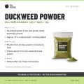 Duckweed Powder – 100% Dried Duckweed | ~31% Protein | 250g / 500g / 1kg | Feed Ingredient for Fish, Poultry & Livestock | FUL Foods. 