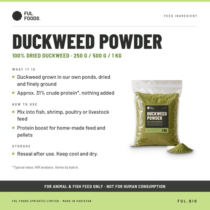 Duckweed%20Powder%20%E2%80%93%20100%25%20Dried%20Duckweed%20%7C%20~31%25%20Protein%20%7C%20250g%20/%20500g%20/%201kg%20%7C%20Feed%20Ingredient%20for%20Fish,%20Poultry%20&%20Livestock%20%7C%20FUL%20Foods%20-%20Image%203