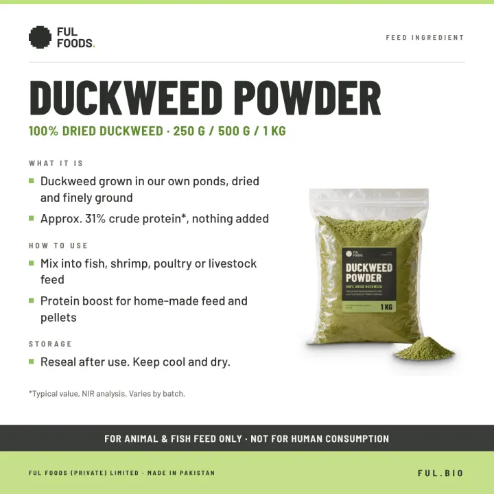 Duckweed%20Powder%20%E2%80%93%20100%25%20Dried%20Duckweed%20%7C%20~31%25%20Protein%20%7C%20250g%20/%20500g%20/%201kg%20%7C%20Feed%20Ingredient%20for%20Fish,%20Poultry%20&%20Livestock%20%7C%20FUL%20Foods%20-%20Image%203