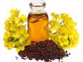 Mustard oil for cooking | Sarson ka tail | 100% Organic | Cold Pressed | 70 ML. 