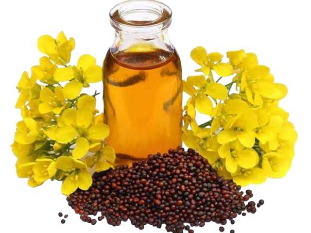 Mustard%20oil%20for%20cooking%20%7C%20Sarson%20ka%20tail%20%7C%20100%25%20Organic%20%7C%20Cold%20Pressed%20%7C%20125%20ML%20-%20Image%203