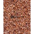 Flax Seed (Alsi) - 100 grams. 