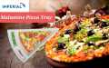 Imperial Triangle Melamine Pizza Slice Serving Tray with dipping sauce server & Pizza. 