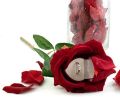 Elegant Red Rose Flower Ring Box. 